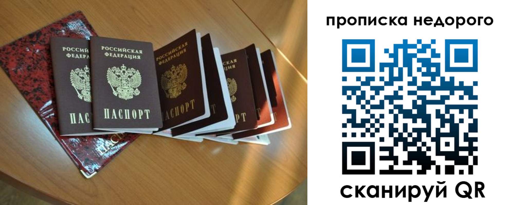 прописка штамп в Новгородской области